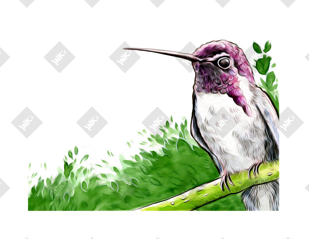 Purple Hummingbird art print by Inkchievous
