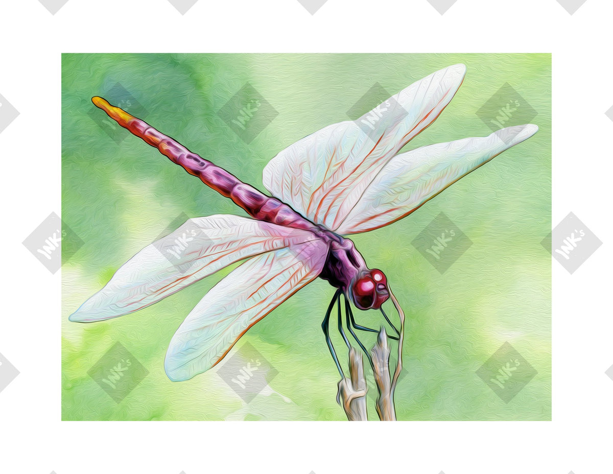 Dragonfly art print by Inkchievous