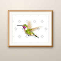 Flying Hummingbird art print in an oak frame on a wall