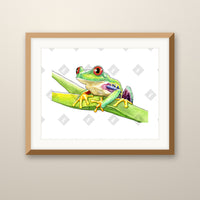 Tree Frog art print in an oak frame on a wall