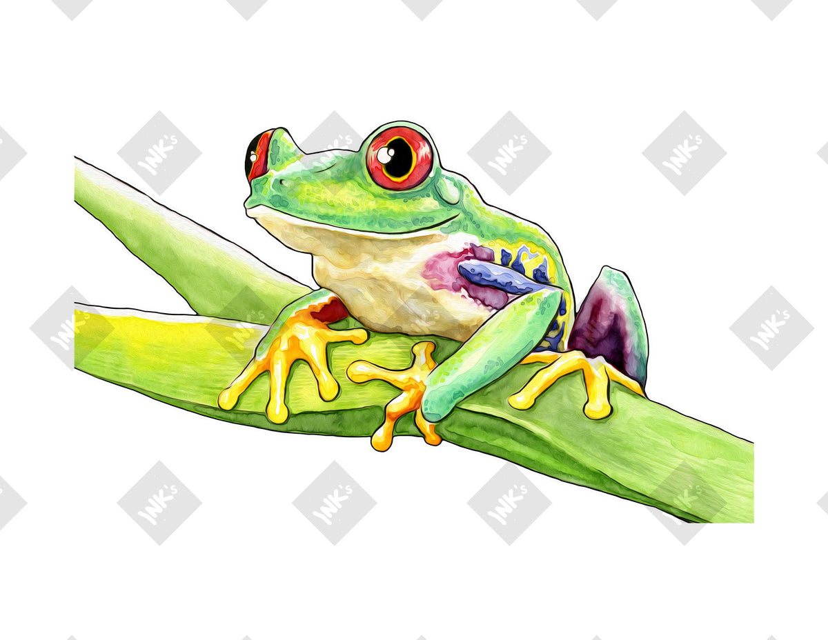 Tree Frog art print by Inkchievous