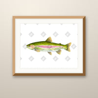 Rainbow Trout art print in an oak frame on a wall