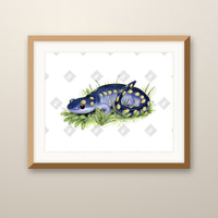 Blue Salamander art print in an oak frame on a wall