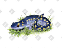 Blue Salamander art print by Inkchievous