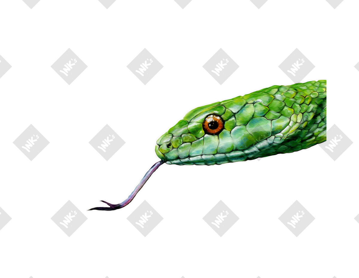 Snake Head art print by Inkchievous